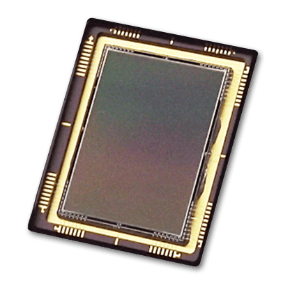 Customized/OEM scientific grade camera